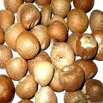 Betelnut (Areca nut) (50 g)